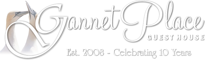 Gannet Place Logo - Hazyview Mpumalanga